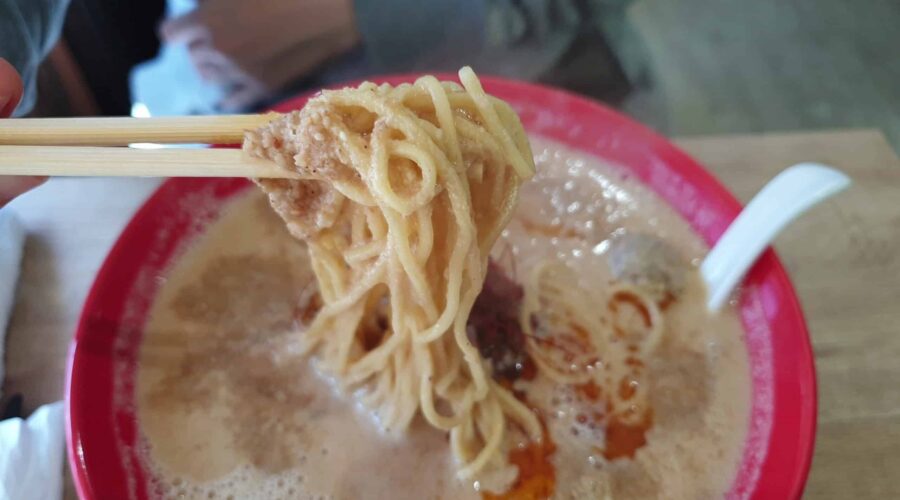 The Ultimate Ramen Tour: Best Bowls in Japan