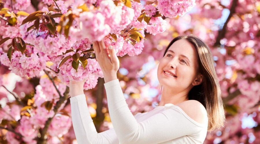 24 Best Places To See Cherry Blossoms in Tokyo