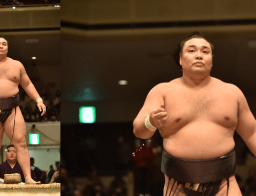 Grand Sumo Tournament in May 2026 Japan Reseller Ticket Information