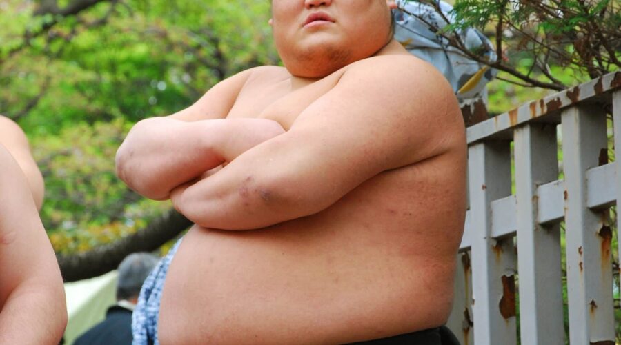 The Complete Guide to Sumo Banzuke: Understanding Japan’s Ancient Ranking System