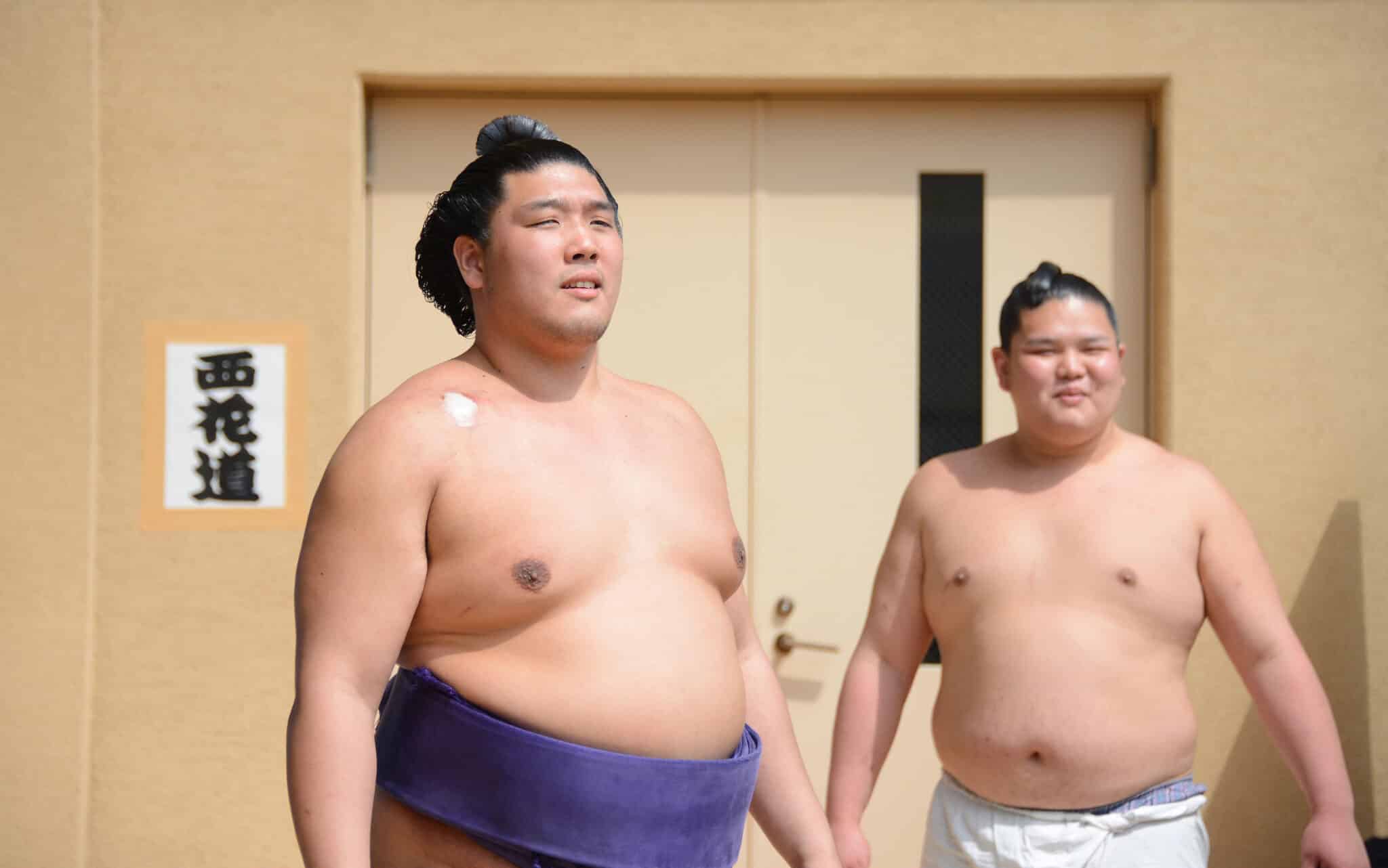 Sumo Banzuke System: Complete Guide to Japanese Wrestling Rankings and ...
