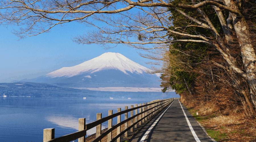 Complete Guide to Climbing Mount Fuji: Routes, Costs, and What to Expect
