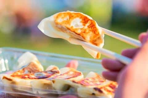 All Japan Gyoza Festival 2026 in Japan Ticket Information