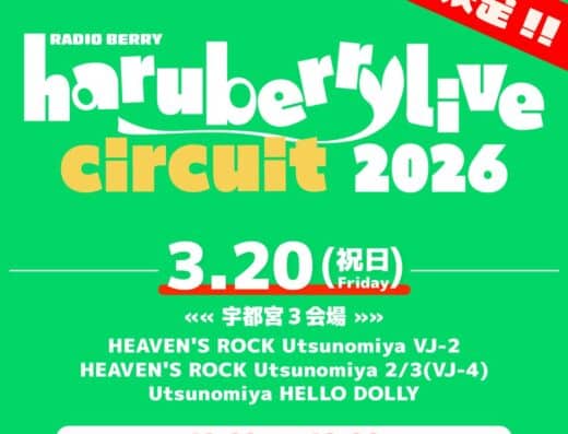 RADIO BERRY circuit