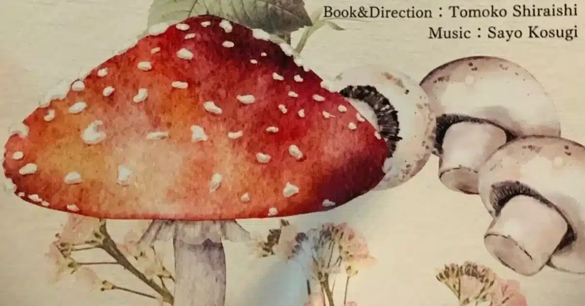 Musical “Under The Mushroom Shade” 2026 Japan Ticket Information