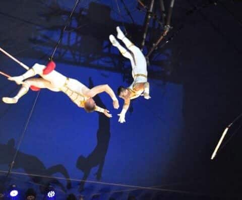 Pop Circus Gifu Performance 2026 Japan Ticket Information