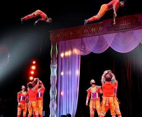 Pop Circus Gifu Performance 2026 Japan Ticket Information